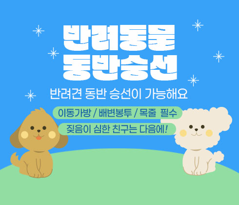 반려동물