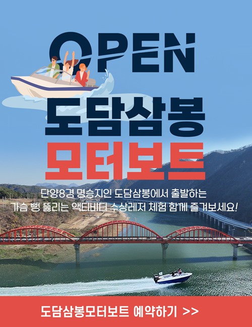 모터보트